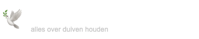 Duivenhouden.com
